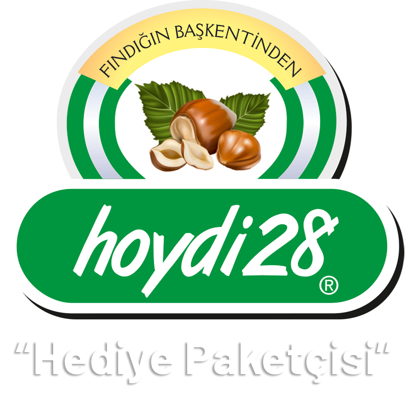 HOYDİ28